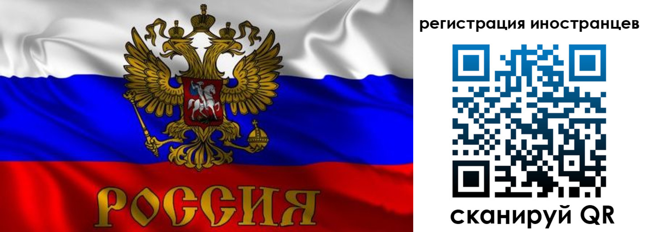 временная регистрация для школы в Апатитах